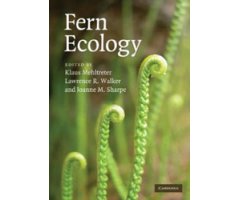 FERN ECOLOGY    