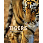 TIGERS: A CELEBRATION OF LIFE