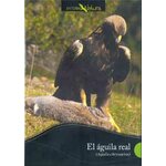 DVD EL ÁGUILA REAL (AQUILA CHRYSAETOS)