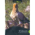 DVD EL ALIMOCHE (NEOPHRON PERCNOPTERUS)