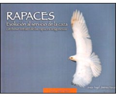 RAPACES. EVOLUCIÓN AL SERVICIO DE LA CAZA. UN BREVE RETRATO DE LAS RAPACES ARAGONESAS 2