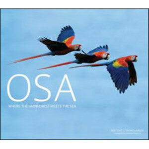 OSA: WHERE THE RAINFOREST MEETS THE SEA