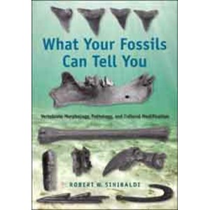 WHAT YOUR FOSSILS CAN TELL YOU. VERTEBRATE MORPHOLOGY, PATHOLOGY, AND CULTURAL MODIFICATION