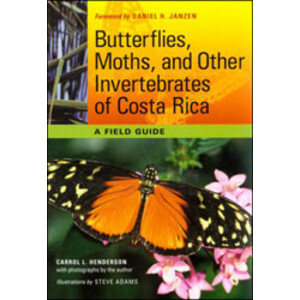 BUTTERFLIES, MOTHS, AND OTHER INVERTEBRATES OF COSTA RICA. A FIELD GUIDE