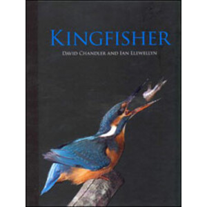 KINGFISHER