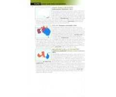 HELM FIELD GUIDES. PARROTS OF THE WORLD_1