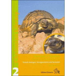 HERMANN'S TORTOISE: BOETTGER'S AND DALMATIAN TORTOISES (TESTUDO BOETTGERI, HERCEGOVINENSIS AND HERMANNI)