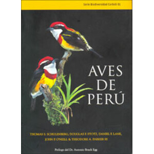 AVES DE PERÚ
