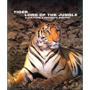 TIGER LORD OF THE JUNGLE