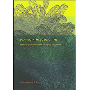 PLANTS IN MESOZOIC TIME: MORPHOLOGICAL INNOVATIONS, PHYLOGENY, ECOSYSTEMS