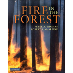FIRE IN THE FOREST