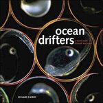 OCEAN DRIFTERS A SECRET WORLD BENEATH THE WAVES