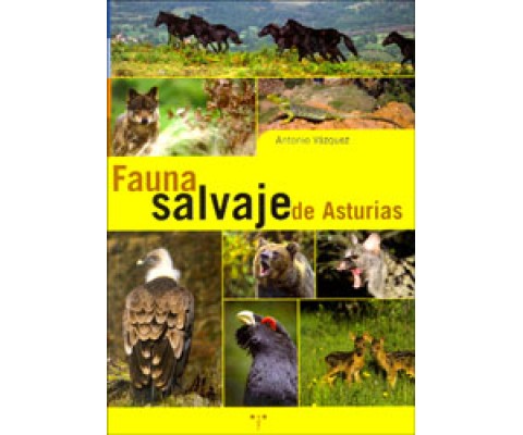 FAUNA SALVAJE DE ASTURIAS