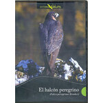 DVD EL HALCÓN PEREGRINO (FALCO PEREGRINUS BROOKEI)