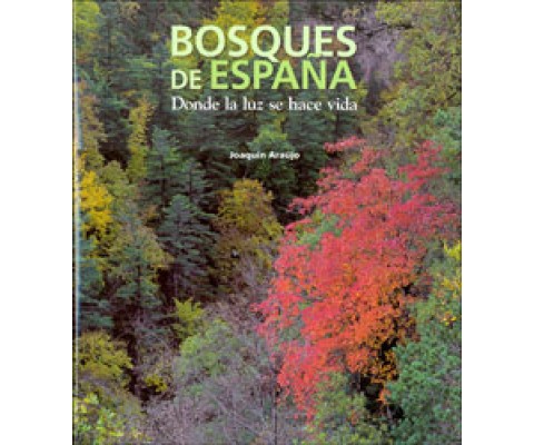 BOSQUES DE ESPAÑA. DONDE LA LUZ SE HACE VIDA