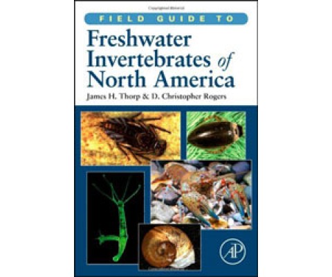 FIELD GUIDE TO FRESHWATER INVERTEBRATES OF NORTH AMERICA
