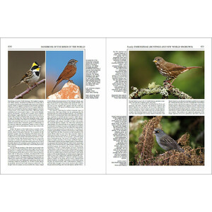 HANDBOOK OF THE BIRDS OF THE WORLD, VOL. 16. TANAGERS TO NEW WORLD BLACKBIRDS_1