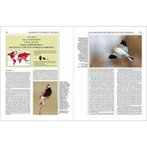 HANDBOOK OF THE BIRDS OF THE WORLD, VOL. 16. TANAGERS TO NEW WORLD BLACKBIRDS 3
