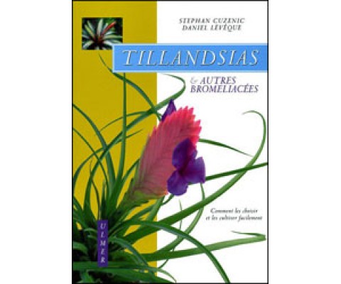 TILLANDSIAS & AUTRES BROMÉLIACÉES