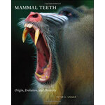 MAMMAL TEETH. ORIGIN, EVOLUTION, AND DIVERSITY