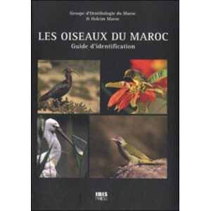LES OISEAUX DU MAROC