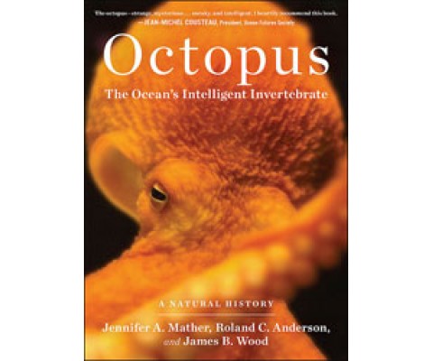 OCTOPUS. THE OCEAN'S INTELLIGENT INVERTEBRATE