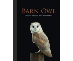 BARN OWL 