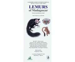 LEMURS OF MADAGASCAR. NOCTURNAL LEMURS: POCKET IDENTIFICATION GUIDE