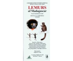 LEMURS OF MADAGASCAR. DIURNAL & CATHEMERAL LEMURS: POCKET IDENTIFICATION GUIDE