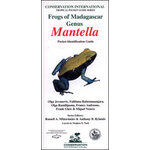 FROGS OF MADAGASCAR. GENUS MANTELLA: POCKET IDENTIFICATION GUIDE