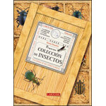 PEQUEÑA COLECCIÓN DE INSECTOS