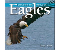 EXPLORING THE WORLD OF EAGLES