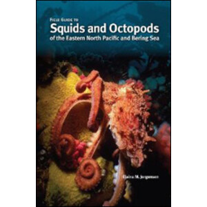 FIELD GUIDE TO SQUIDS AND OCTOPODS OF THE EASTERN NORTH PACIFIC AND BERING SEA