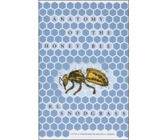 ANATOMY OF THE HONEY BEE  