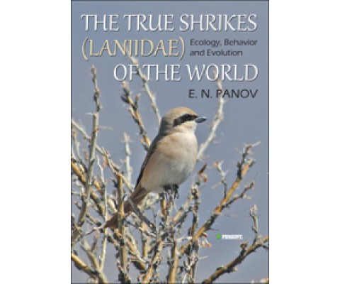 THE TRUE SHRIKES (LANIIDAE) OF THE WORLD. ECOLOGY, BEHAVIOR AND EVOLUTION