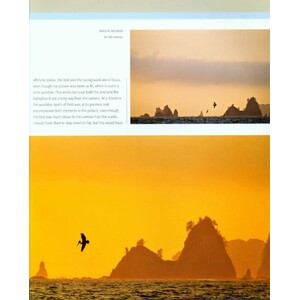 CREATIVE NATURE PHOTOGRAPHY_1