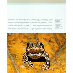 CREATIVE NATURE PHOTOGRAPHY 4