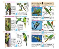AVES DE ARGENTINA Y URUGUAY. SET GUÍA DE IDENTIFICACIÓN + DVD + CHECKLIST 3