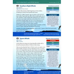 ANTARCTIC WILDLIFE. A VISITOR'S GUIDE TO THE WILDLIFE OF THE ANTARCTIC PENINSULA, DRAKE PASSAGE AND BEAGLE CHANNEL_1