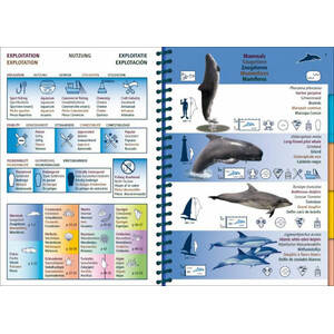 MARINE PICTOLIFE. EASTERN ATLANTIC_1