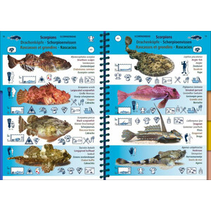 MARINE PICTOLIFE. EASTERN ATLANTIC 3