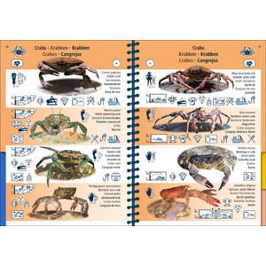 MARINE PICTOLIFE. EASTERN ATLANTIC 4