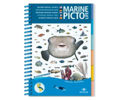 MARINE PICTOLIFE. WESTERN TROPICAL ATLANTIC