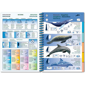 MARINE PICTOLIFE. WESTERN TROPICAL ATLANTIC_1