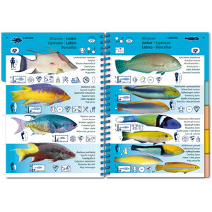 MARINE PICTOLIFE. WESTERN TROPICAL ATLANTIC 3