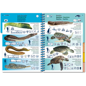 MARINE PICTOLIFE. WESTERN TROPICAL ATLANTIC 4