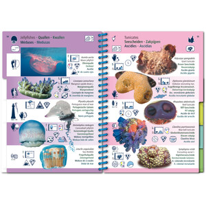 MARINE PICTOLIFE. WESTERN TROPICAL ATLANTIC 6