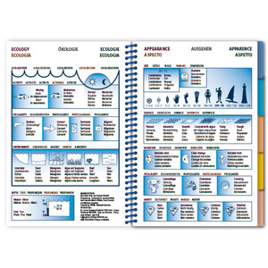 MARINE PICTOLIFE. MEDITERRANEAN SEA_1