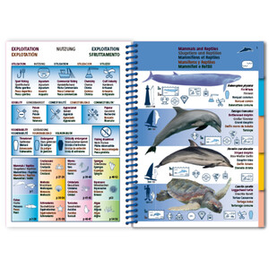 MARINE PICTOLIFE. MEDITERRANEAN SEA 3