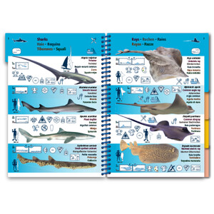 MARINE PICTOLIFE. MEDITERRANEAN SEA 4